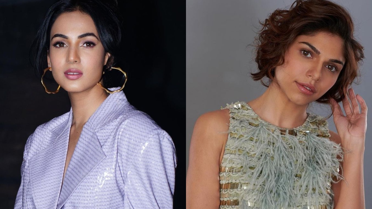 did-sonal-chauhan-take-a-dig-at-online-trolls-for-slamming-sharmin-segal-actress-says-she-is-not-villain-you-are